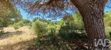 Acheter Terrain 9118 m2 LOULE