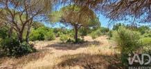 Acheter Terrain LOULE r�gion FARO
