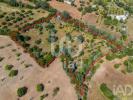 Annonce Vente Terrain LOULE
