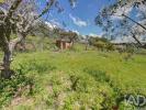 Annonce Vente Terrain SERTA