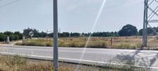 Vente Terrain ALMEIRIM 2080