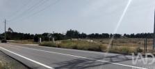 Annonce Vente Terrain ALMEIRIM
