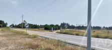 Acheter Terrain 32180 m2 ALMEIRIM