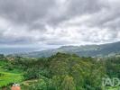 Acheter Terrain 3630 m2 SANTANA
