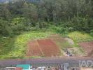 Acheter Terrain SANTANA r�gion SETUBAL