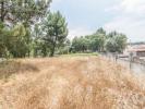 Acheter Terrain MARINHA-GRANDE r�gion LEIRIA