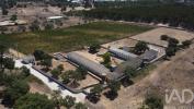 Annonce Vente Terrain PALMELA