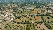Annonce Vente Terrain FARO