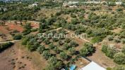 Acheter Terrain LOULE