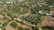 Acheter Terrain LOULE r�gion FARO