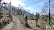 Acheter Terrain GONDOMAR r�gion PORTO
