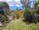 Acheter Terrain 1340 m2 TAVIRA