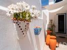 Vente Local commercial VILA-DO-BISPO 8650