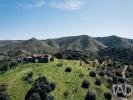 Acheter Terrain 32767 m2 VILA-NOVA-DE-FOZ-COA