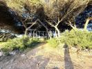 Acheter Terrain 2960 m2 SINTRA