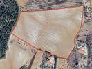 Acheter Terrain 32767 m2 SANTAREM