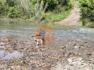 Acheter Terrain 28 m2 TAVIRA