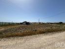 Acheter Terrain TORRES-VEDRAS r�gion LISBOA