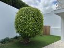 Louer Maison 226 m2 VILA-FRANCA-DE-XIRA
