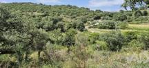 Acheter Terrain PORTO-DE-MOS r�gion LEIRIA