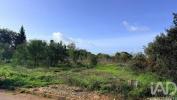 Acheter Terrain 1481 m2 SILVES