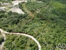 Annonce Vente Terrain PORTO-DE-MOS
