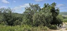 Acheter Terrain PORTO-DE-MOS r�gion LEIRIA