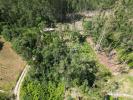 Vente Terrain PORTO-DE-MOS 2480