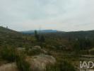 Acheter Terrain 16000 m2 OLIVEIRA-DO-HOSPITAL