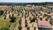 Acheter Terrain 12240 m2 RIO-MAIOR