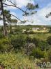 Acheter Terrain 3500 m2 MAFRA