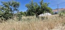 Acheter Terrain RIO-MAIOR r�gion SANTAREM