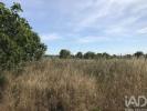 Acheter Terrain LEIRIA r�gion LEIRIA
