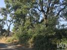 Vente Terrain FERREIRA-DO-ZEZERE 2240