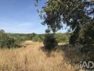 Annonce Vente Terrain FERREIRA-DO-ZEZERE