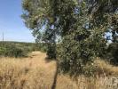 Acheter Terrain 2520 m2 FERREIRA-DO-ZEZERE