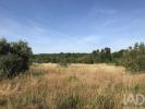 Acheter Terrain FERREIRA-DO-ZEZERE r�gion SANTAREM