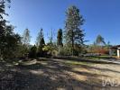 Louer Maison TOMAR r�gion SANTAREM