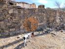 Annonce Vente Maison TAVIRA