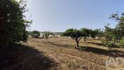 Acheter Maison FARO r�gion FARO