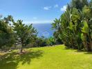 Annonce Vente 3 pi�ces Maison CALHETA