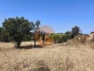 Acheter Terrain VILA-REAL-DE-SANTO-ANTONIO r�gion FARO