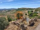 Acheter Terrain TAVIRA r�gion FARO