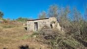 Acheter Terrain 10500 m2 FORNOS-DE-ALGODRES