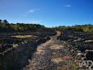 Annonce Vente Terrain MADALENA