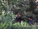 Acheter Terrain 490 m2 PENELA