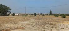 Acheter Terrain MONTIJO r�gion SETUBAL