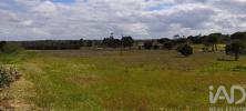 Annonce Vente Terrain CORUCHE