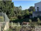 Vente Terrain SANTA-MARIA-DA-FEIRA 4520