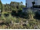 Acheter Terrain 1045 m2 SANTA-MARIA-DA-FEIRA